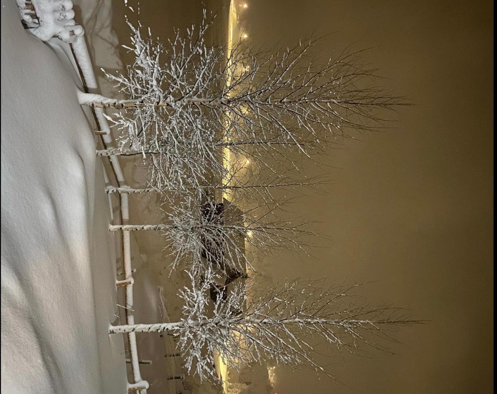 Guest House Sky Blue Žabljak Εξωτερικό φωτογραφία